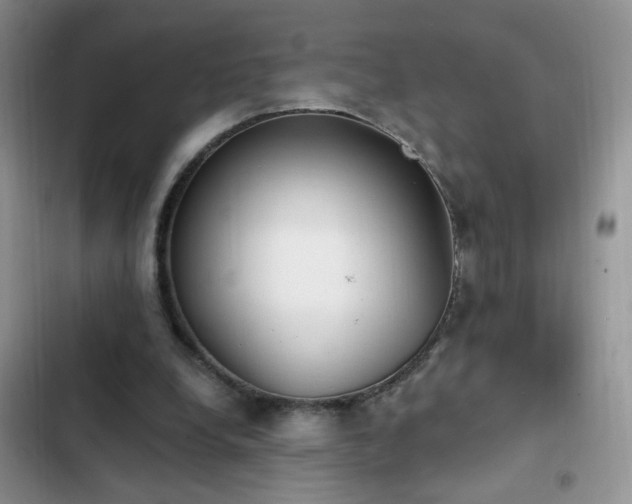 X0000103230248200808281437