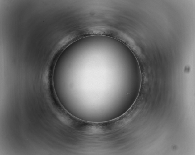 X0000103230250200808281437