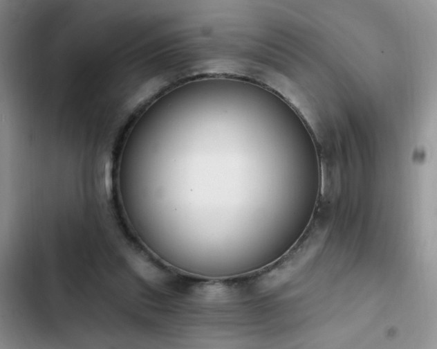 X0000103230253200808281437