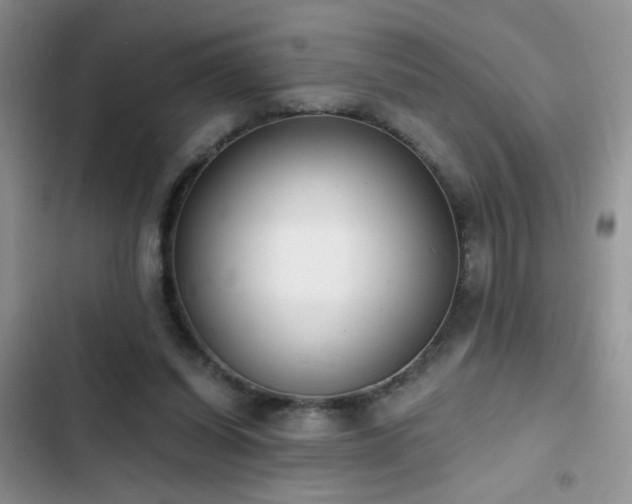 X0000103230254200808281437