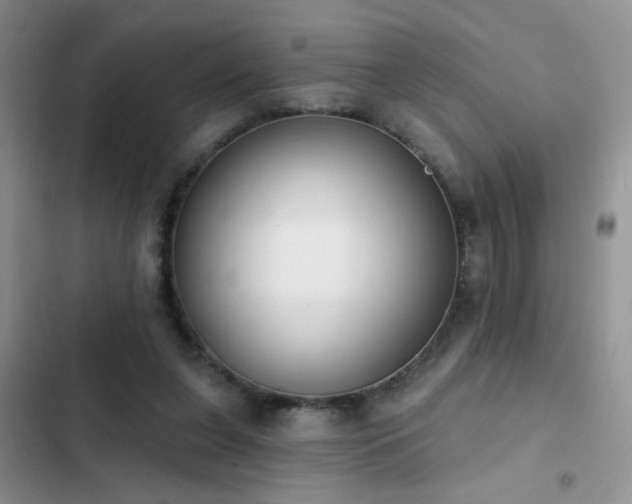 X0000103230255200808281437