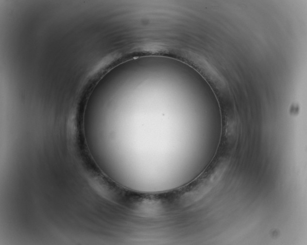 X0000103230256200808281437