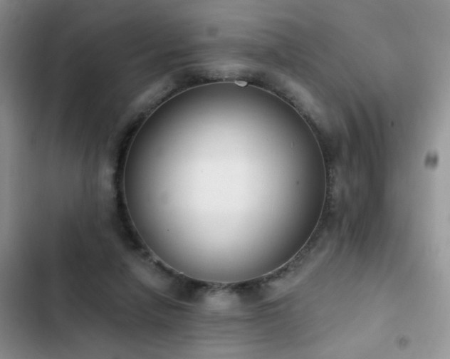 X0000103230258200808281437