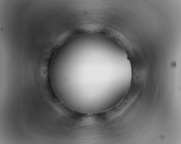 X0000103230259200808281437