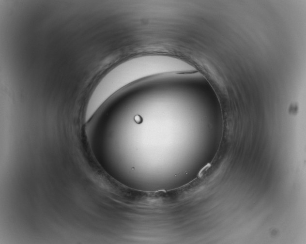 X0000103230260200808281437