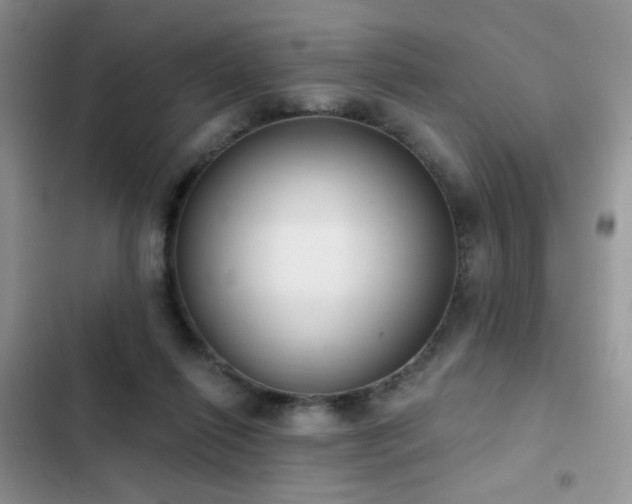 X0000103230262200808281437