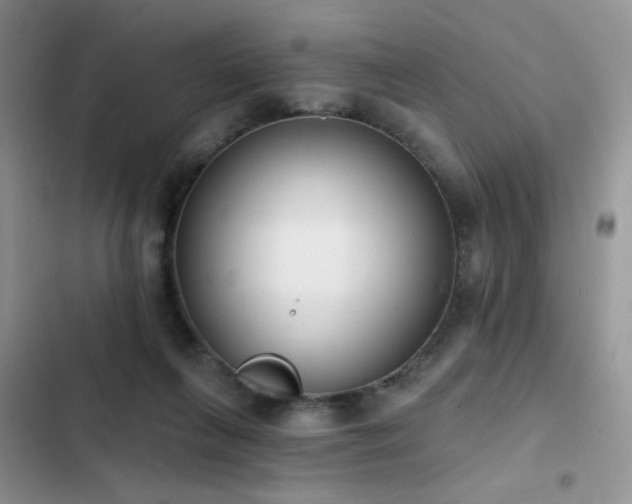 X0000103230263200808281437