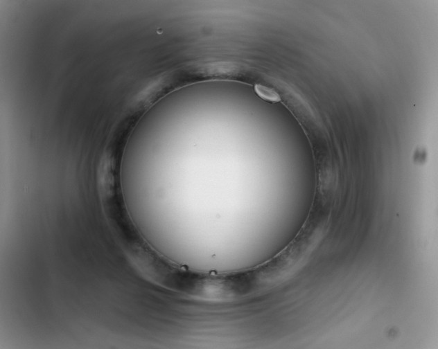 X0000103230264200808281437