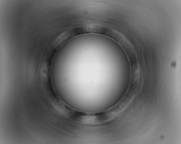 X0000103230266200808281437
