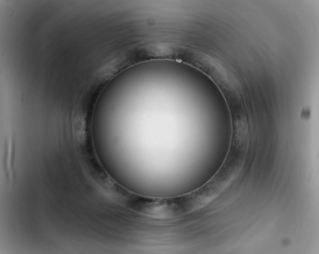 X0000103230267200808281437