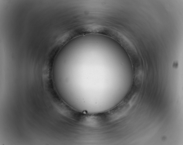 X0000103230268200808281437