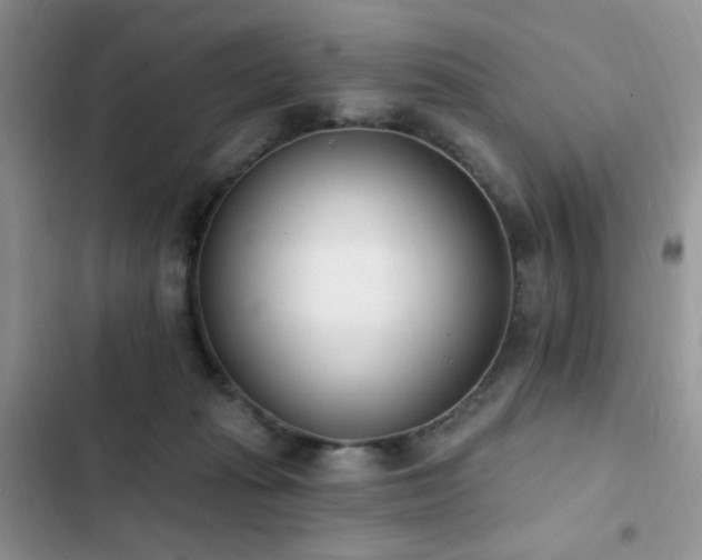 X0000103230269200808281437
