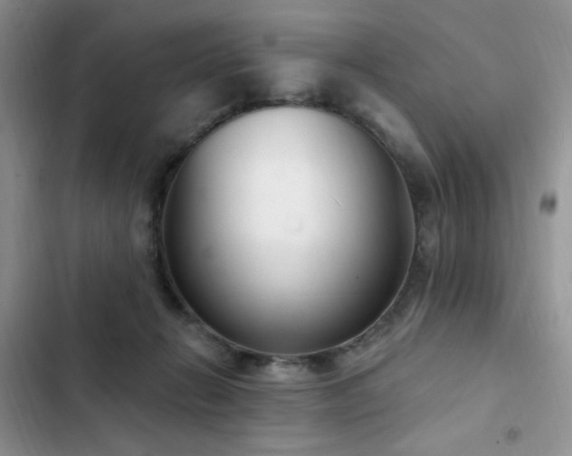 X0000103230270200808281437