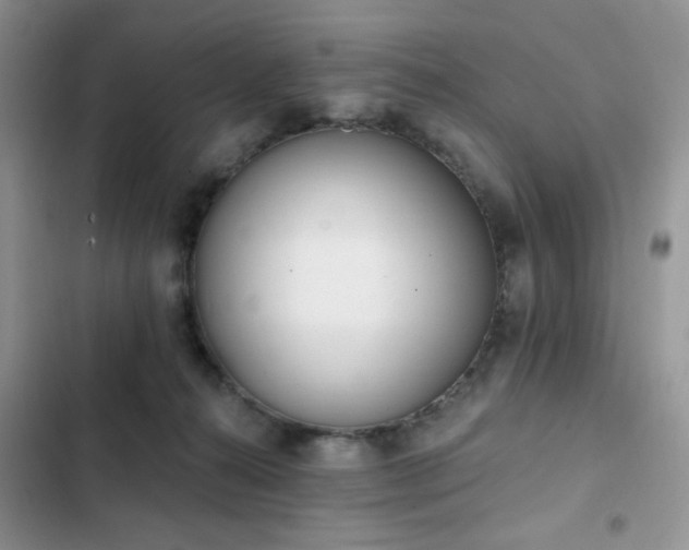 X0000103230272200808281437