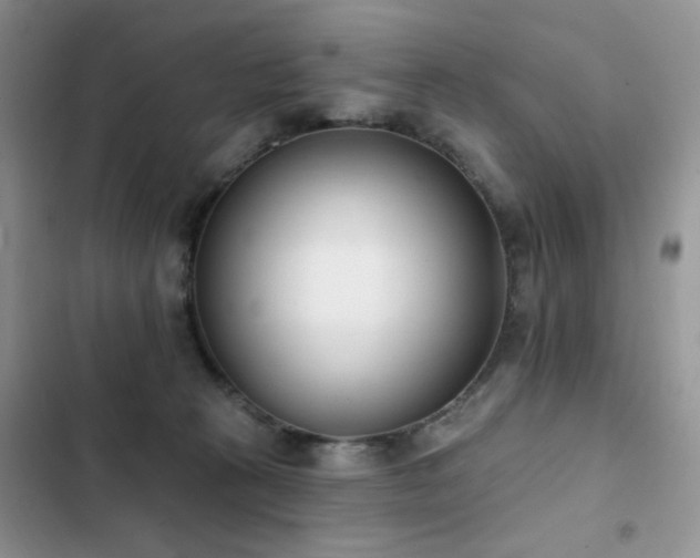 X0000103230273200808281437