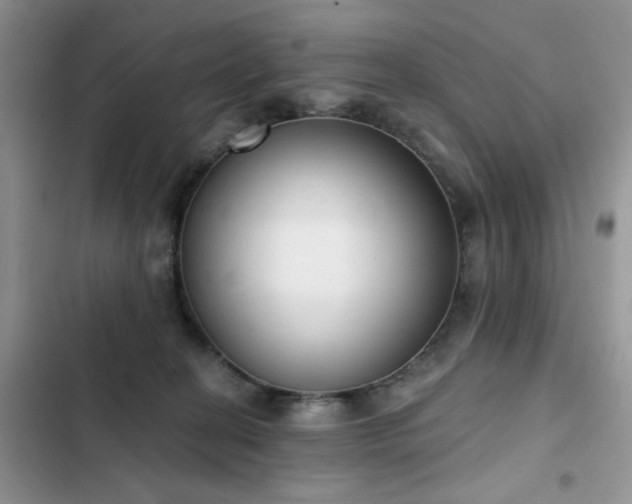 X0000103230274200808281437