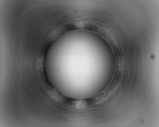 X0000103230275200808281437