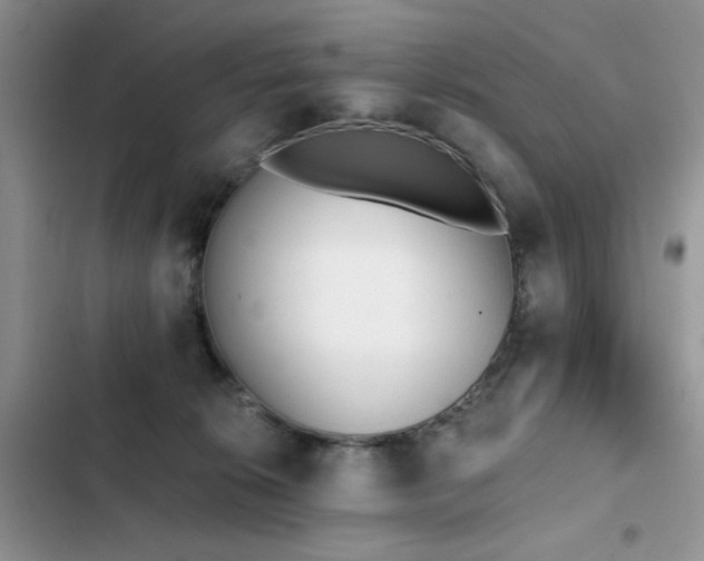 X0000103230276200808281437