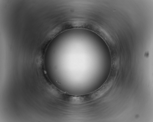X0000103230277200808281438