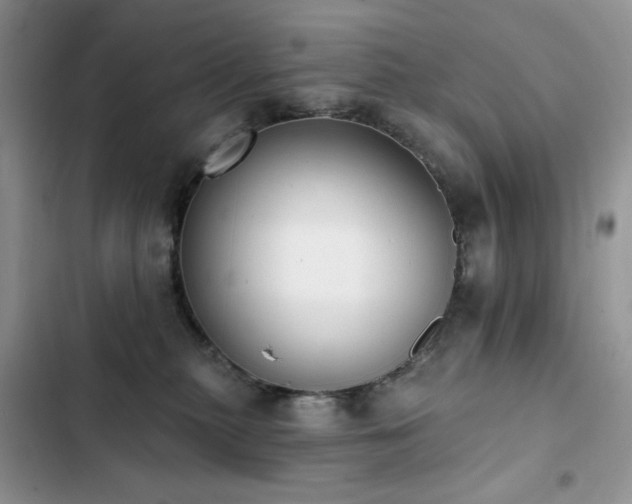 X0000103230279200808281438