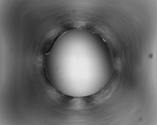 X0000103230280200808281438