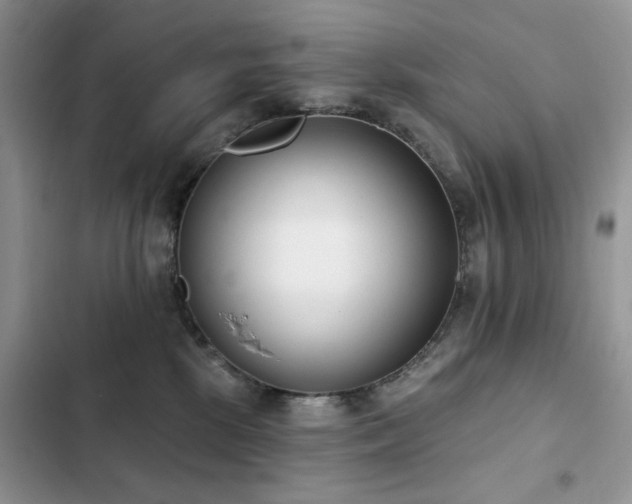 X0000103230281200808281438