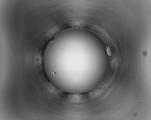 X0000103230282200808281438