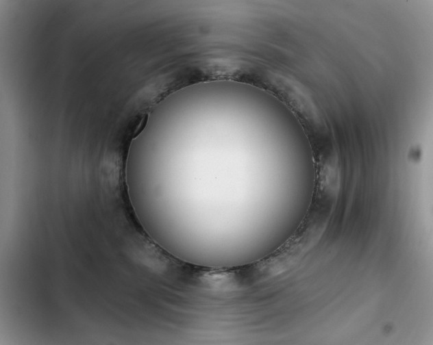 X0000103230283200808281438