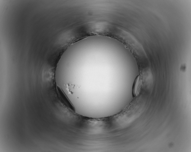 X0000103230284200808281438