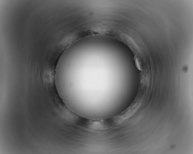 X0000103230285200808281438