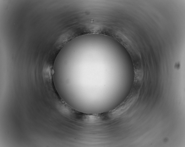 X0000103230286200808281438