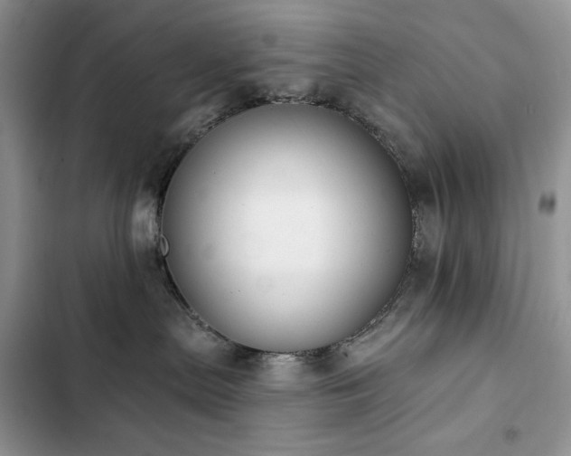 X0000103230287200808281438