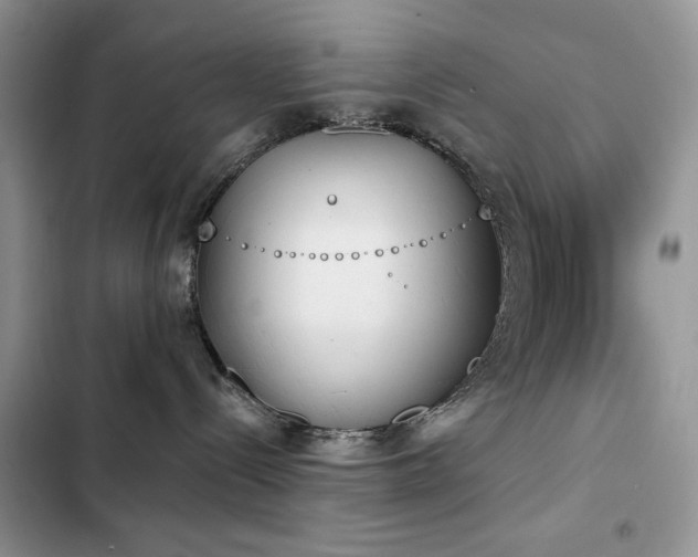 X0000103230288200808281438
