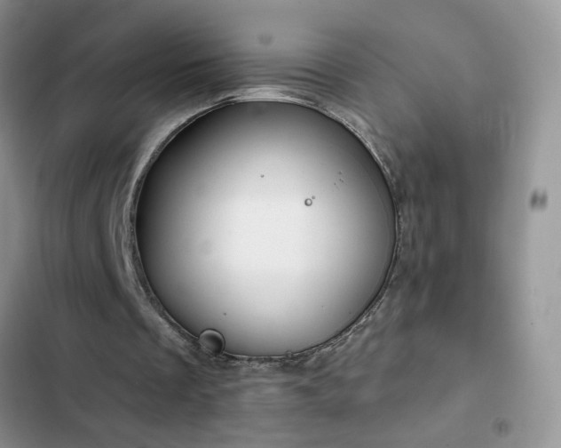 X0000103230289200808281437