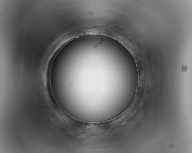X0000103230290200808281437