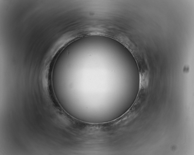 X0000103230291200808281437