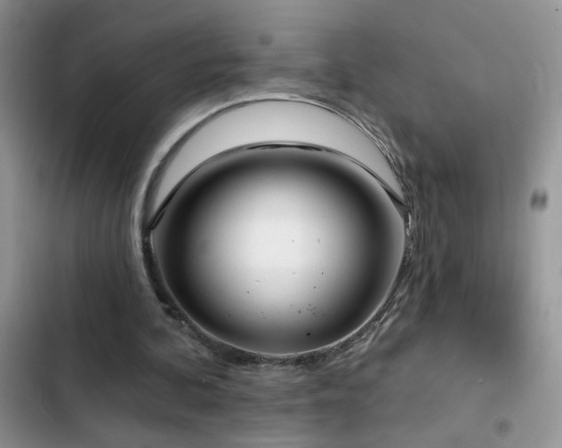 X0000103230292200808281437