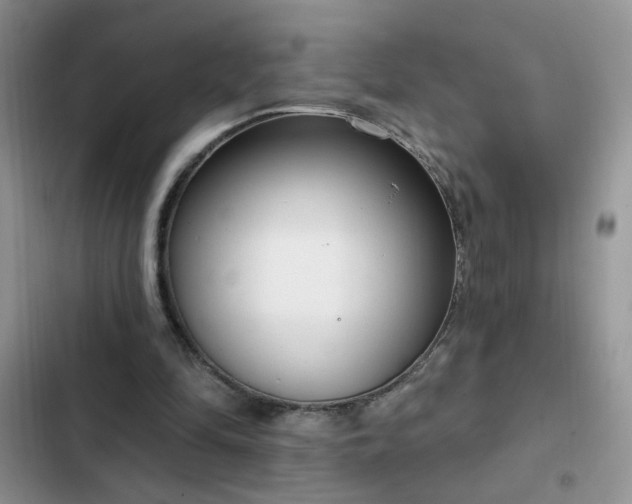 X0000103230294200808281437