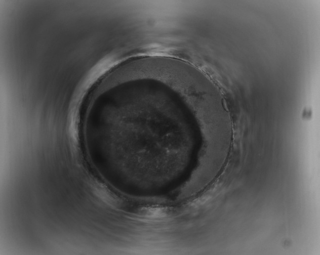 X0000103230295200808281437