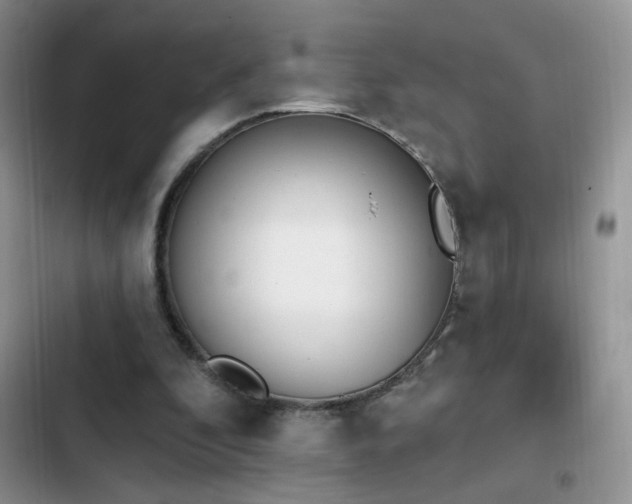 X0000103230296200808281437