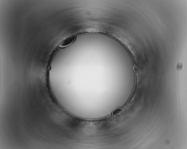 X0000103230297200808281437