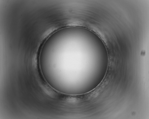 X0000103230298200808281437