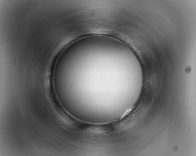 X0000103230299200808281437