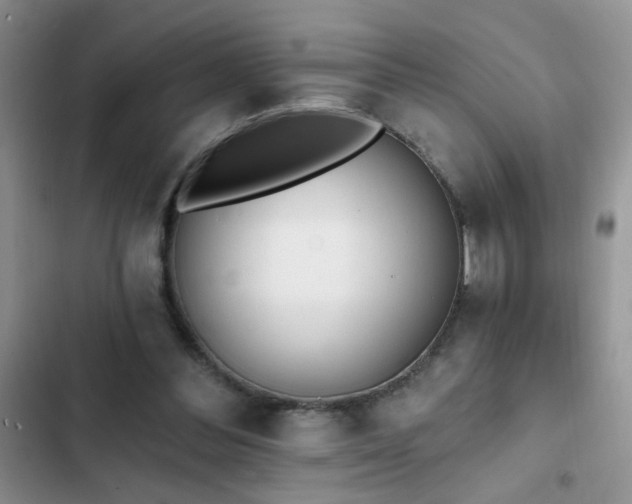 X0000103230300200808281437