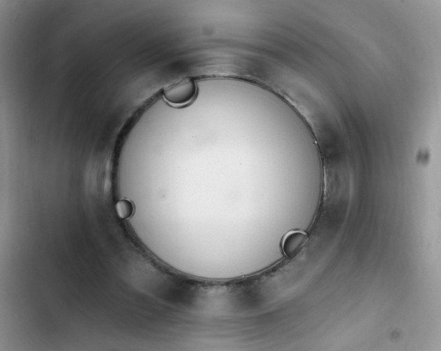 X0000103230301200808281437