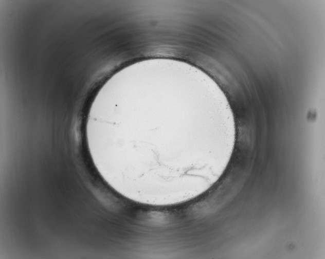 X0000103230302200808281437
