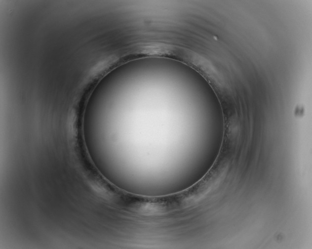 X0000103230303200808281437