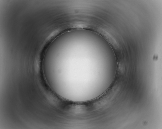 X0000103230304200808281437