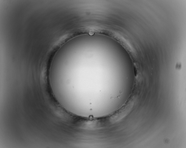 X0000103230306200808281437