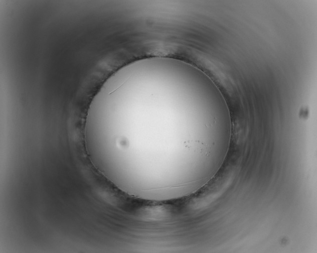 X0000103230307200808281437